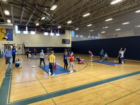 The third grade gym classes are busy playing Sink the Ship. The goal of the game is to knock off the pins of the other teams mat while guarding your own pins. 
