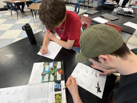 In Ms.DeBois Biology class, students are making food chains and food webs for specific ecosystems. 
Sophomore Michael Scruton says, Its by far my favorite project this school year. 