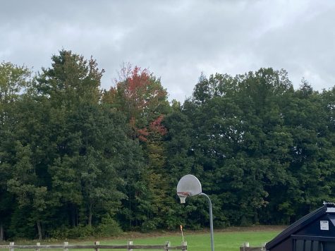 Fall is officially here and the colors are starting to appear at Blue Mountain Union School. September 23rd, 2022.