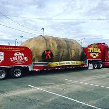 Worlds largest potato weighing 403.4 pounds   grown by local Barnet Man  Jeremiah Burnett, taken by truck to be donated to food shelters. Photo taken on 1/11/23.