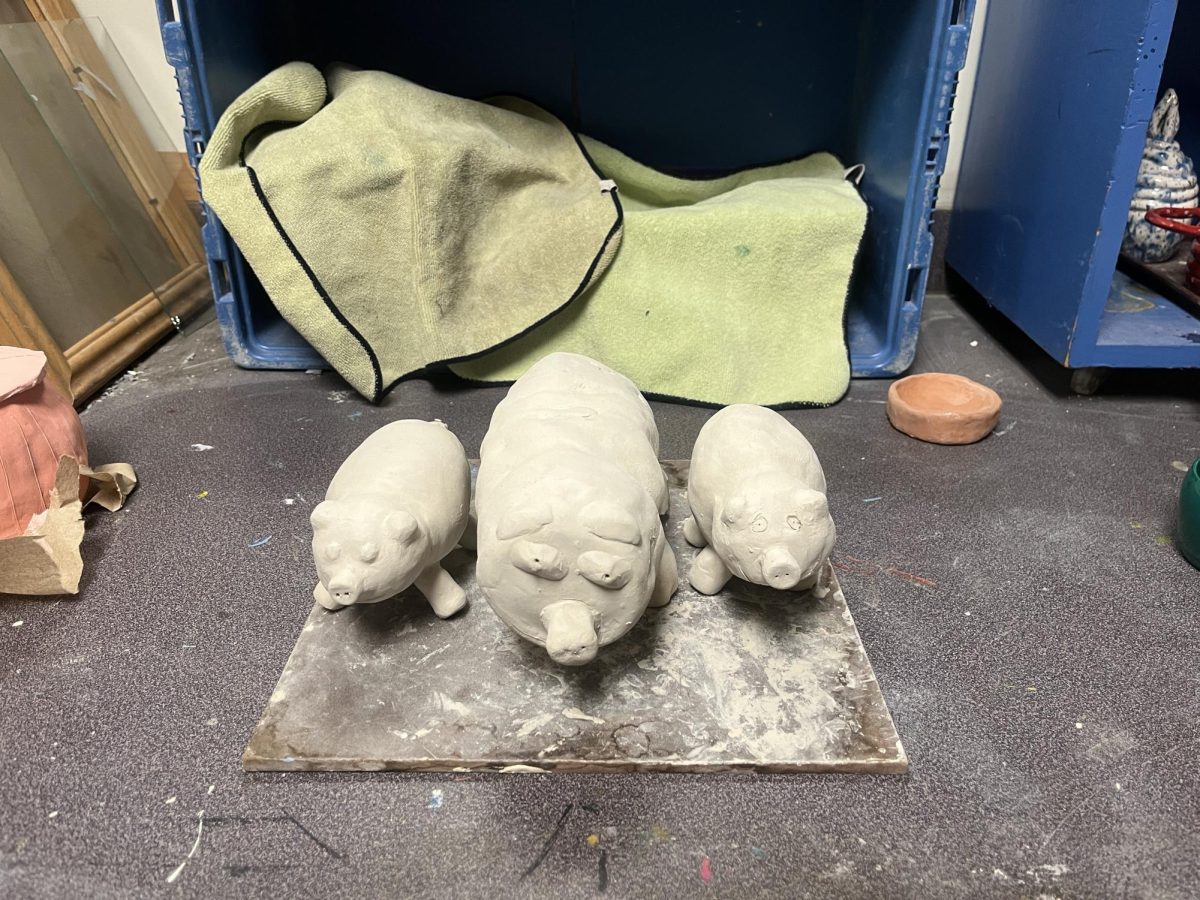 The ceramics class is creating animal sculptures from pinch pots. Derek VanNamee, Jacob Emerson and Kristofer Fennimores pigs are seen here. October 20, 2023.