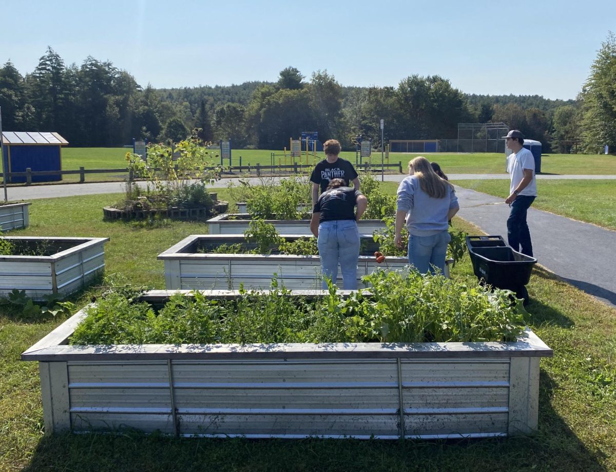 Adams Honors Chemistry class helping with the community garden on September 26, 2023.