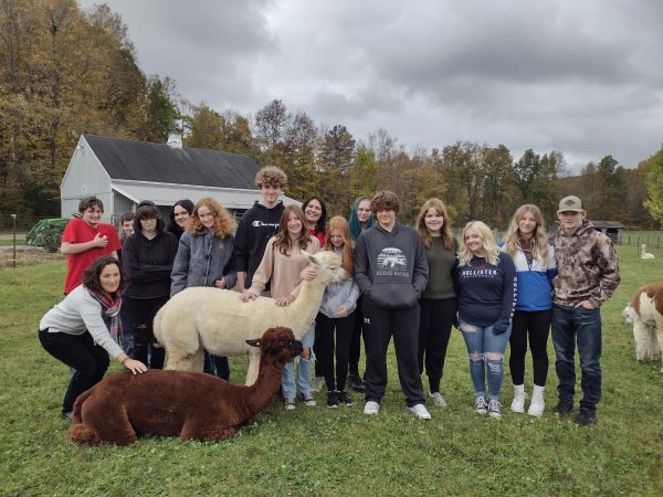 Blue Mountain students pose for a picture with two alpacas at Maple View Farm on October 17th, 2023. The students taking Spanish learned about the history of these alpacas. 