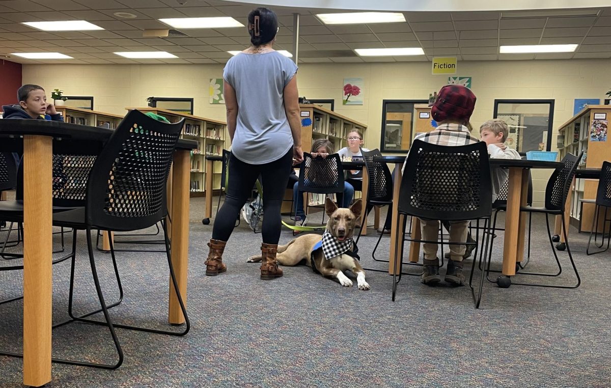 New BMU library dog Finn helps school librarian Jennifer Lund teach a class at 10:15 am on November 7th, 2023.