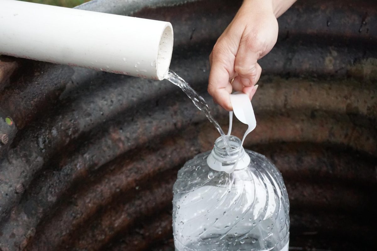 Vermont resident filling up a jug off of a local spring on September 24th, 2025. A little spring on Brushwood road in Haverhill, NH offers water for people to fill their gallons up.