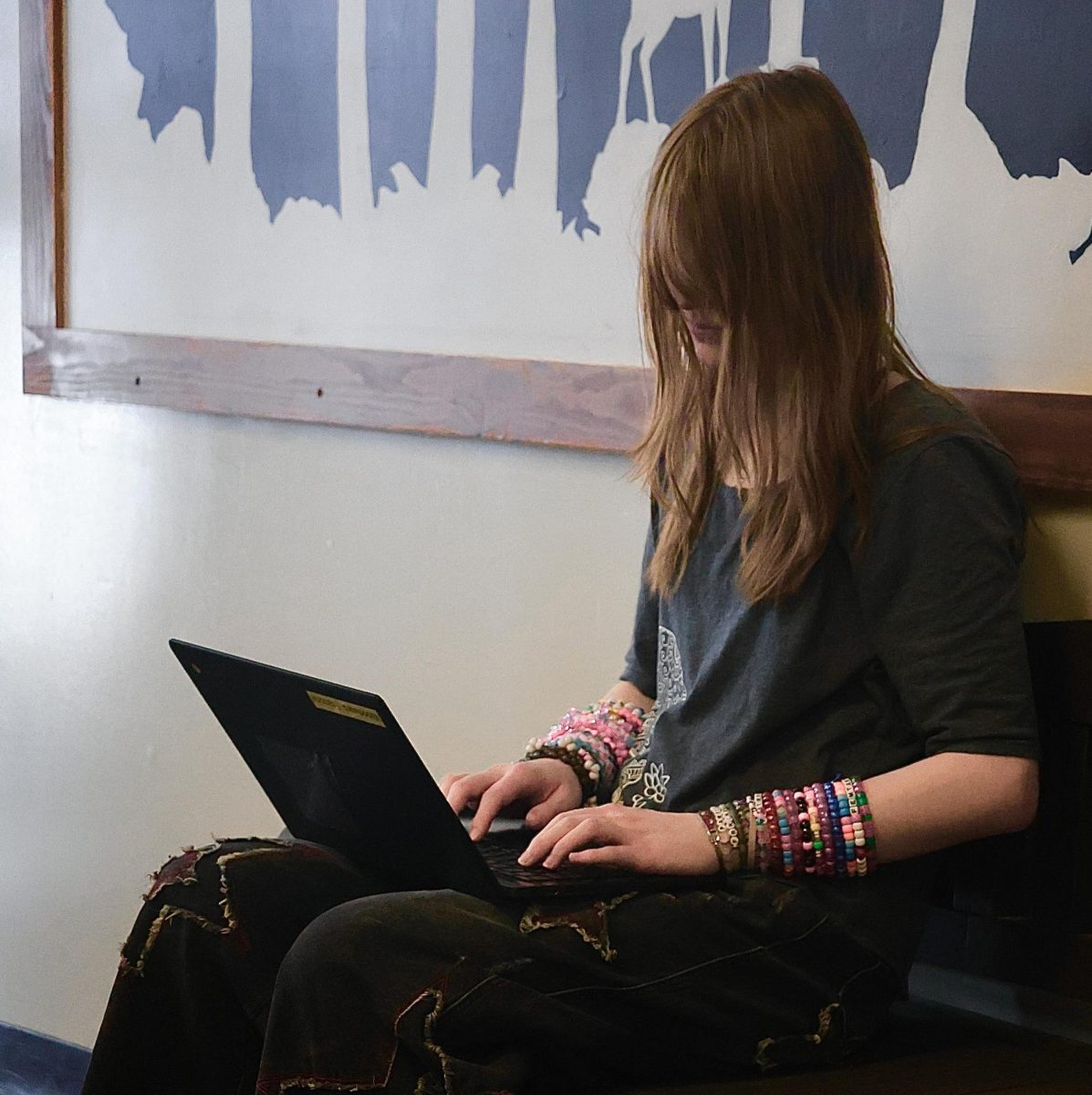 Blue Mountain Union School senior Francine Woodward working on her Senior Capstone Project on Wednesday February 18. Her project is about mental health in teens.